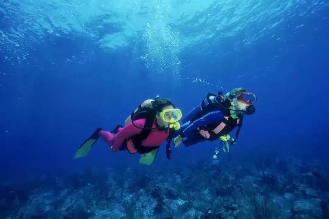 奥斯卡红毯秀