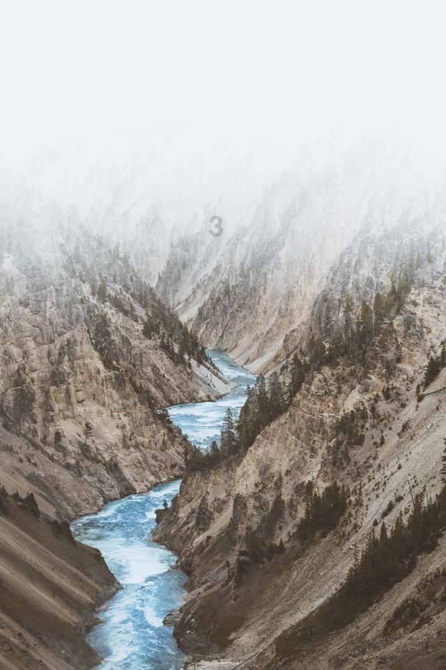白孔雀救援
